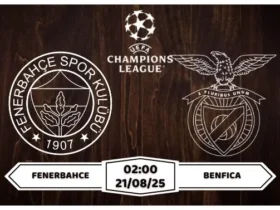 Nhận định soi kèo Fenerbahce vs Benfica Đồng Cân Đồng Thủ