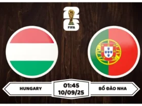 Nhận định soi kèo Hungary vs Bồ Đào Nha Đón Tiếp Hung Thần