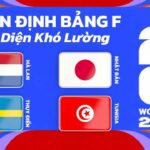 Nhận định bảng F World Cup 2026 – Cục Diện Khó Lường