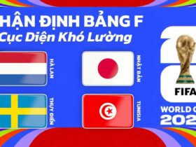 Nhận định bảng F World Cup 2026 – Cục Diện Khó Lường