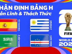 Nhận định bảng H World Cup 2026 – Bản lĩnh & thách thức