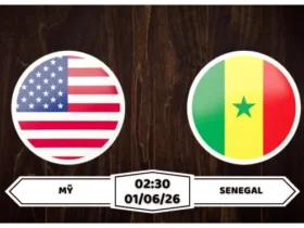 Nhận định, soi kèo Mỹ vs Senegal: 02h30 ngày 01/06