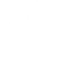 Premier League